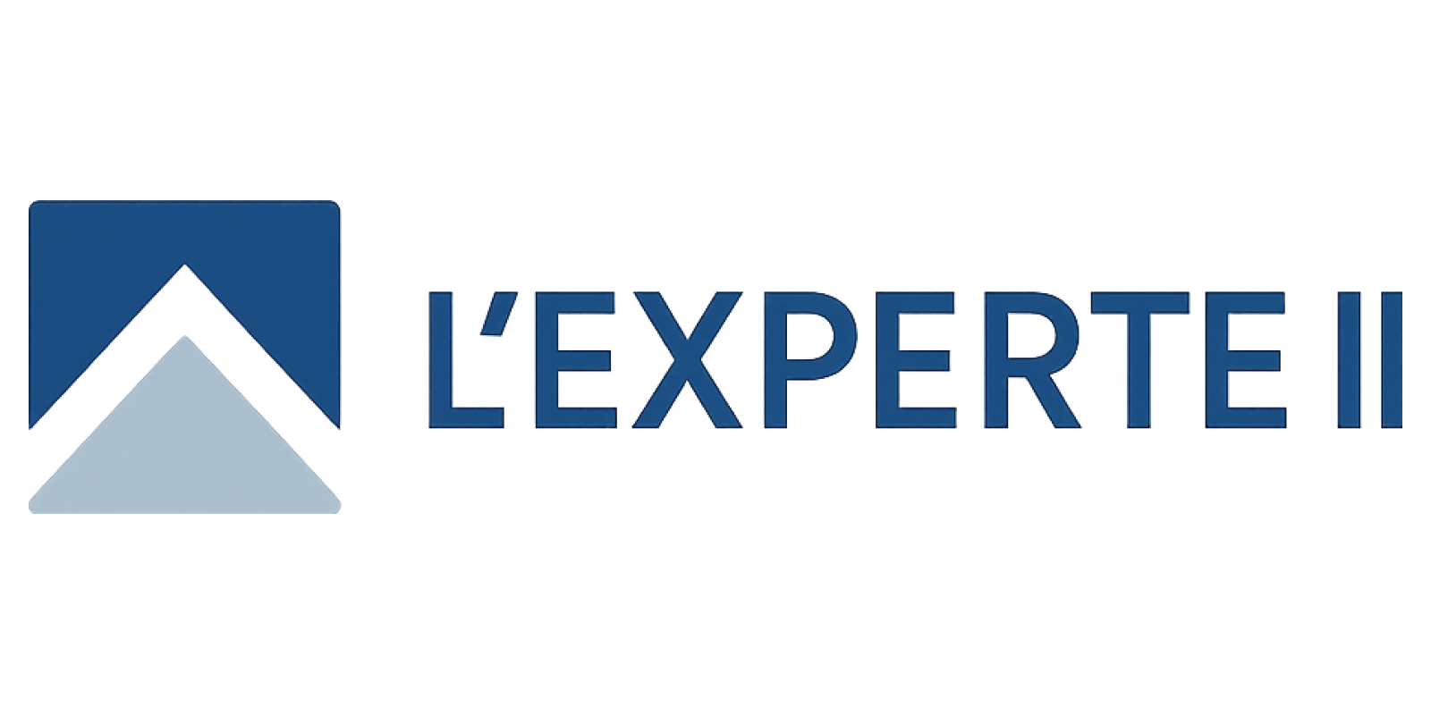L'Experte II